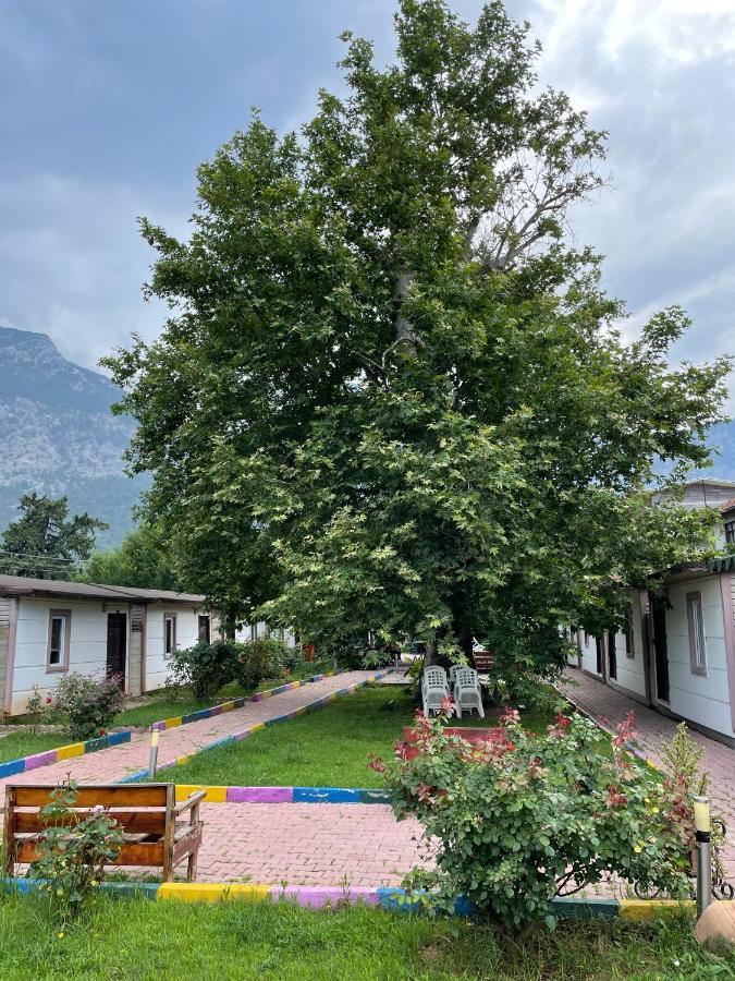 Ipsos Hotel Beldibi Kemer Exterior photo